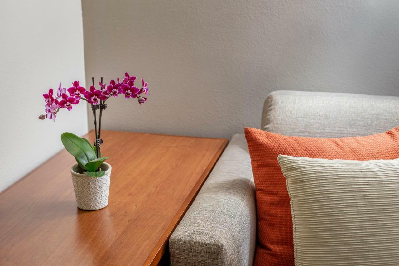Hyatt Place Dallas/North Arlington/Grand Prairie Extérieur photo